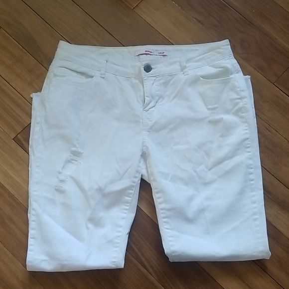 Bongo - Picture 2 of 4